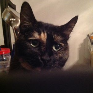 Meet your Posher, Martha